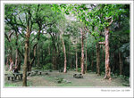 f80-072008-19