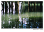 f80-072008-27