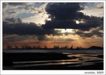 �ժd2009#1