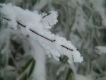 DSCF2244