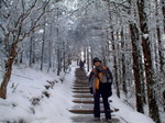 DSCF2276