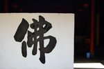 DSC_9654