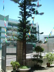 DSCF0183