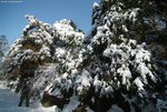 DSCF4847