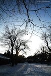 DSCF4895