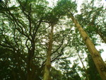 DSCF0030