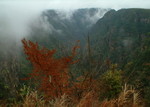 DSCF0070