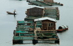 DSCF0167