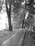 DSCF0193
