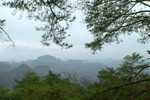 DSCF0308