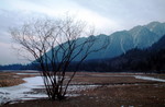 DSCF0432