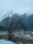 DSCF0435