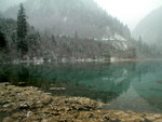DSCF0545