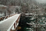 DSCF0596