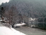 DSCF0619