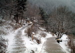 DSCF0627