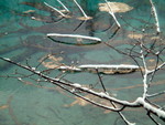 DSCF0636