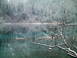DSCF0651