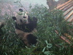 DSCF2010