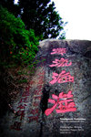 DSCF1828