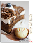 
cake0006
