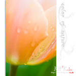 flower0018
