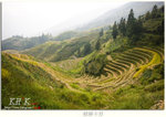 guilin0008