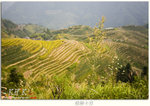 guilin0009