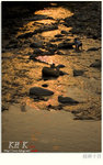 guilin0017