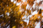 impression0001