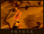 midautumn0013