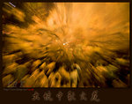 midautumn0019