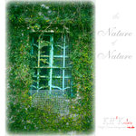 nature0004