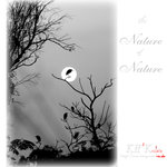 nature0005