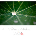 nature0008