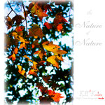 nature0010