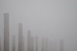 DSC_0542