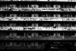 
���Ƨ�邨 [2007.07.17]
