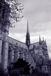 
Paris again