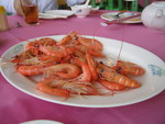 IMG_2283r