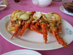 IMG_2284r