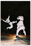 perform08��
