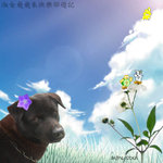 (�t�t��e��ڪ�) ����onbebe�P�Q�t�p�linmysoul�������`�ڴڭ������h���j��쭥�C�A�~�����������֬�߫Y���˶��r��tim!