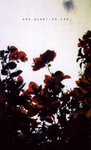 OLYMPUS Pen EE-3 ��3��