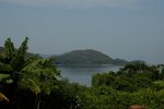 DSC2950