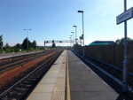 DSC08731