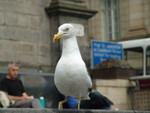 DSC08379