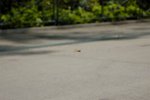 _DSC5130