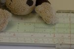 �y�n�A�Y�n�p25��64�A����ưʤؤW��1�r��ǩT�w�ؤW2.5�o��m�C�z
_DSC9185