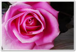 DSC_3561